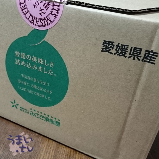 愛媛産デコポン 「デコ姫」2kg 税込み送料込み1,000円