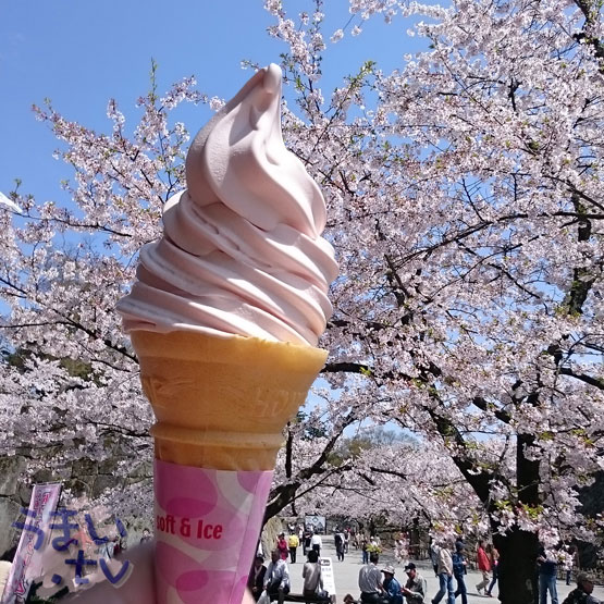 会津鶴ヶ城　桜満開　八重たんのさくらソフト