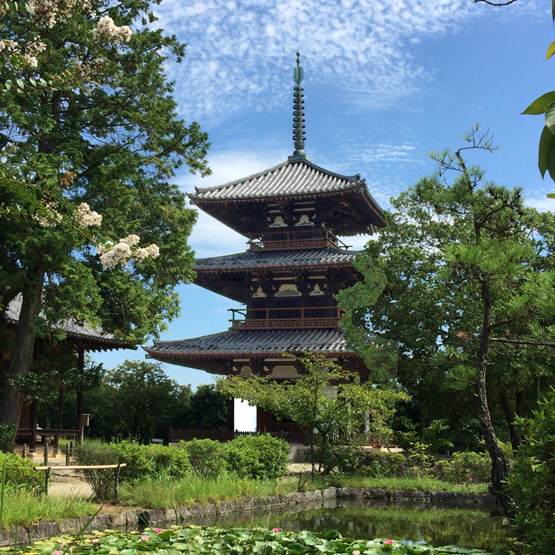 奈良斑鳩　法起寺